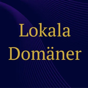 Lokala domäner